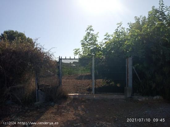  Terreno rural VENTA en Castellón zona NORTE, 3000 m. - CASTELLON 