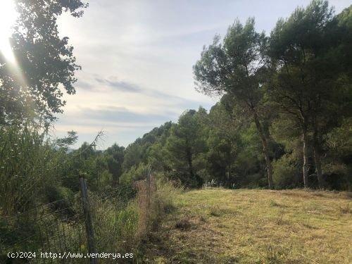 Terreno residencial urbano de 362 m2. a tan sólo 30 min. de Barcelona. - BARCELONA