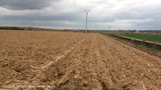 SE VENDE PARCELA AGRICOLA DE REGADIO - SALAMANCA