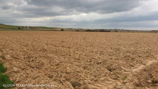 SE VENDE PARCELA AGRICOLA DE REGADIO - SALAMANCA