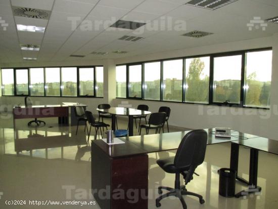 OFICINAS EN ALQUILER EN EL  POLIGONO EL MONTALVO III - SALAMANCA