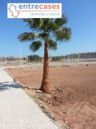  PARCELAS ZONA 500 VIVIENDAS PUERTO DE SAGUNTO EXCELENTE ZONA OPORTUNIDAD - VALENCIA 