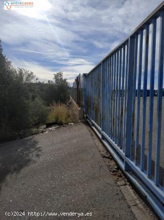 PARCELA DE DOS HANEGADAS EN PARTIDA LA COVA, VALL D'UIXO - CASTELLON