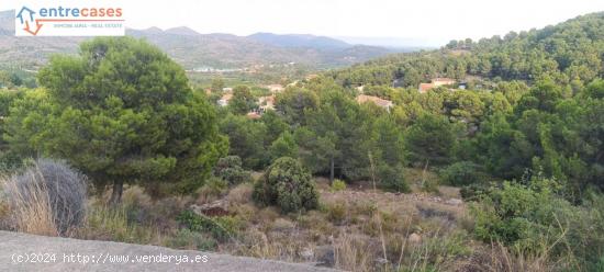 PARCELA URBANIZACIÓN MONTES PALANCIA - VALENCIA