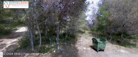 PARCELAS URBANAS NO PROGRAMADAS EN EL CAMINO VIEJO DE TERUEL DE SAGUNTO - VALENCIA