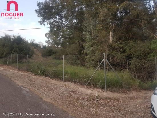  TERRENO EN ZONA CUEVAS BAJAS - CORDOBA 