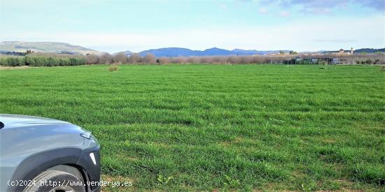  PORCION DE TIERRA DE HUERTA EN LA MASÓ, PARTIDA Y PARAJE CAM D'EN BOU - TARRAGONA 