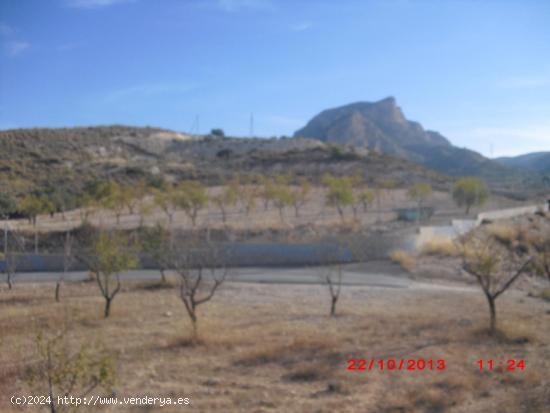 Parcela con vistas espectaculares a Elda y Petrer, poblada de chalets en la parte alta de Salinetas.