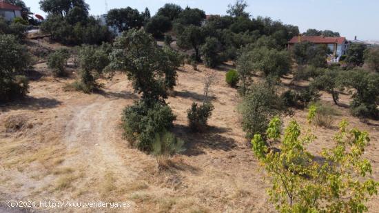 Se Vende en Cardiel de los Montes - TOLEDO