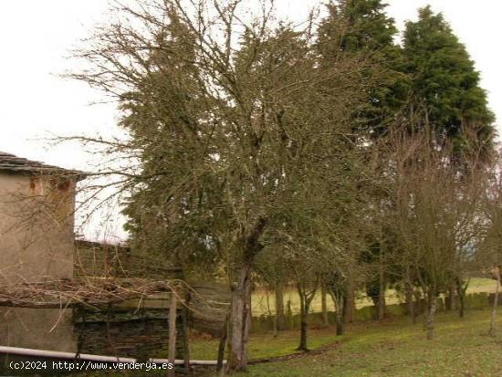 Casa a reformar en Marzán con gran terreno - LUGO