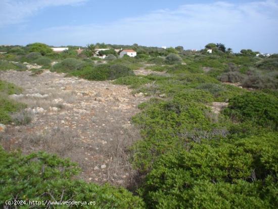 M-9080 - Terreno para 8 chalets en BINIPARRATX - BALEARES