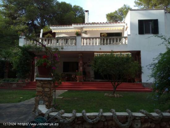  C-6396 Chalet - Sant Tomás - BALEARES 