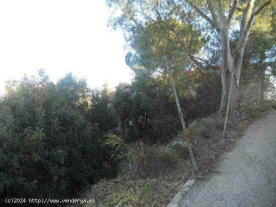 Parcela urbana para chalet independiente o casas pareadas - MALAGA