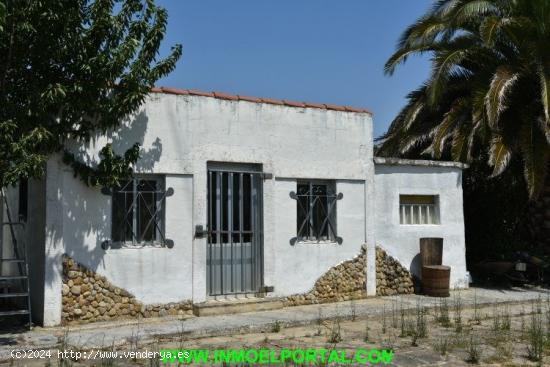 HUERTA OCIO- RECREO - NAVARRA