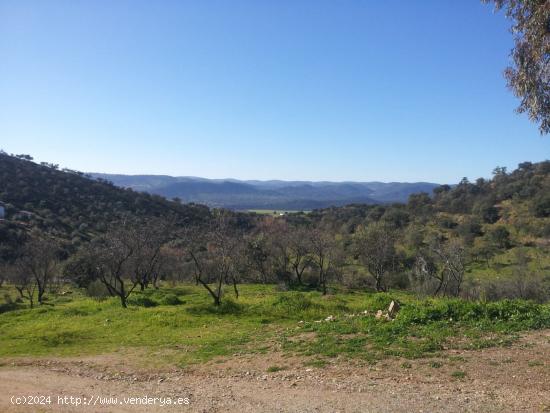  FINCA RUSTICA EN LA ZONA DE ESPIEL ( CORDOBA ) - CORDOBA 