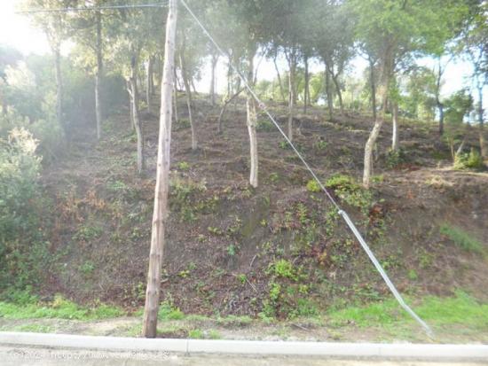 Terreno con un poquito de pendiente - BARCELONA