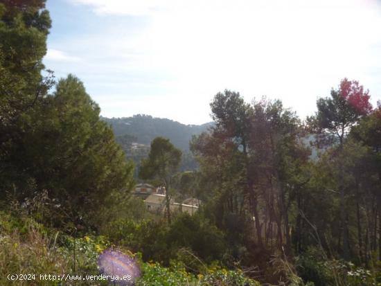  Terreno grande en Ciudad Jardin - BARCELONA 