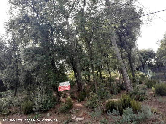 Terreno Edificable en Sant Feliu del Racò - BARCELONA