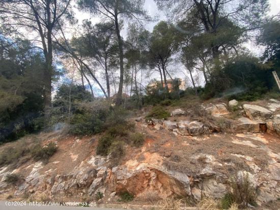  TERRENO EN SANT FELIU DEL RACO.UN LIENZO EN BLANCO - BARCELONA 