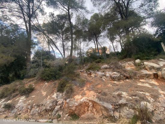 TERRENO EN SANT FELIU DEL RACO.UN LIENZO EN BLANCO - BARCELONA