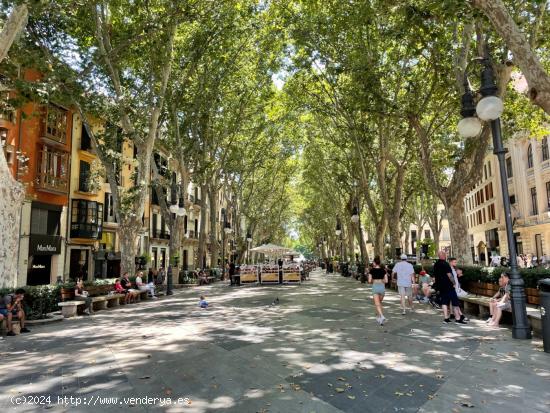 Se Vende precioso edificio antiguo cerca del Borne - BALEARES