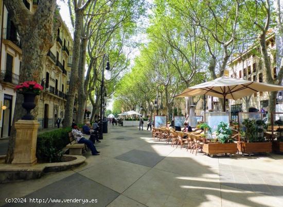 Se Vende precioso edificio antiguo cerca del Borne - BALEARES