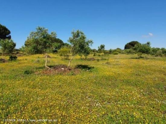 Un paraíso para eventos en la costa este de Mallorca - BALEARES