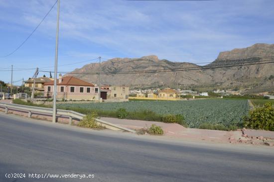  Se vende parcela agraria de 6.841m2 en Orihuela, zona de Camino de Enmedio. - ALICANTE 