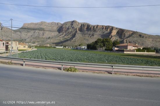 Se vende parcela agraria de 6.841m2 en Orihuela, zona de Camino de Enmedio. - ALICANTE