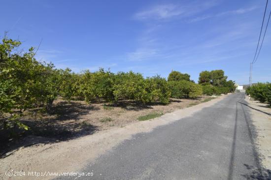 Se vende Terreno rural de 2.600m2 en la zona Vereda Los Cacheros en Santomera, Murcia. - MURCIA