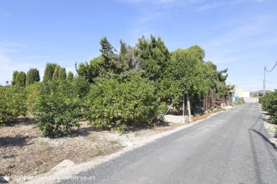 Se vende Terreno rural de 2.600m2 en la zona Vereda Los Cacheros en Santomera, Murcia. - MURCIA