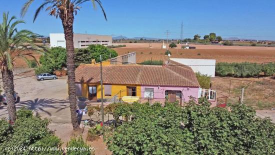 FINCA DE 37.000 M² CON 3 VIVIENDAS DE MAS DE 700 M² - MURCIA