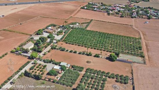 FINCA DE 37.000 M² CON 3 VIVIENDAS DE MAS DE 700 M² - MURCIA