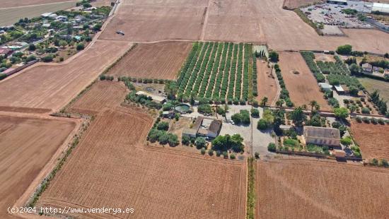 FINCA DE 37.000 M² CON 3 VIVIENDAS DE MAS DE 700 M² - MURCIA