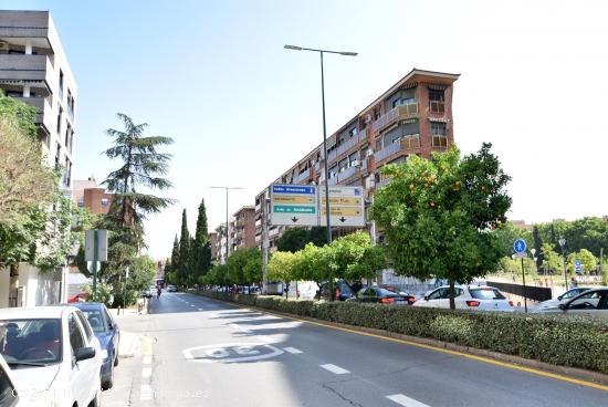 CAMINO DE RONDA FRENTE ESTADIO DE LA JUVENTUD - GRANADA