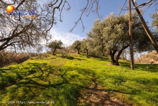 A LA VENTA FINCA RÚSTICA EN EL FARGUE - GRANADA