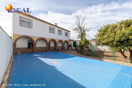 Dos casas en parcela de 724m con huerto y piscina - GRANADA