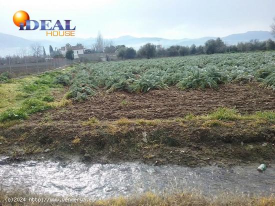 OportUnidad Finca Rústica Pago del Zaidín!!! - GRANADA