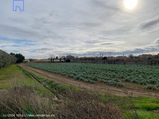 Parcelas rústicas para uso de Cultivo, Huerto o Finca de recreo  35.000€ - NAVARRA