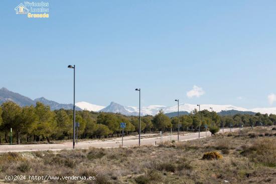  MAGNIFICA PARCELA EN LOS ALTOS DE LA ZUBIA!! - GRANADA 