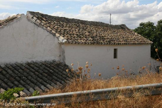 Se Vende en Villanueva de Algaidas - MALAGA