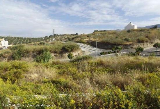 TERRENO URBANIZABLE con 1274 m - GRANADA