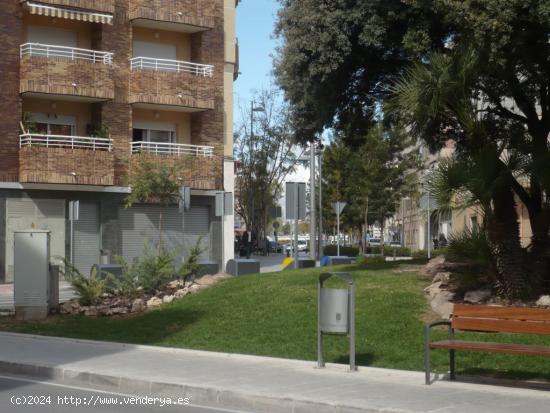 Local en venta o alquiler - ALICANTE