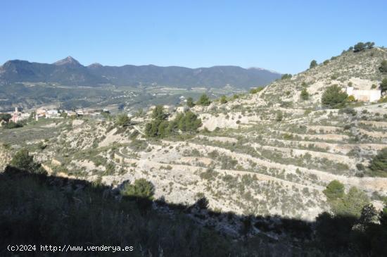  Terreno rural en venta en Tibi - ALICANTE 