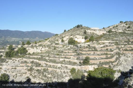 Terreno rural en venta en Tibi - ALICANTE