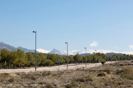  MAGNÍFICA PARCELA EN LOS ALTOS DE LA ZUBIA! - GRANADA 