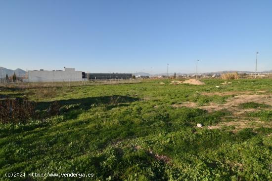 A la venta parcela industrial en Cortijo del Conde - GRANADA