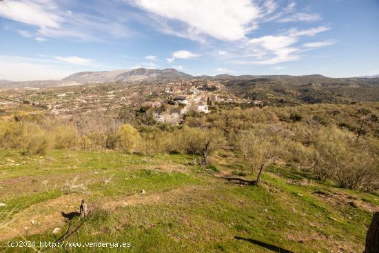  A LA VENTA FINCA RÚSTICA EN EL FARGUE - GRANADA 