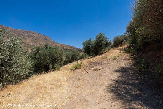 Finca en Güejar Sierra - GRANADA