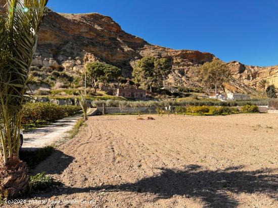  Finca de Recreo - ALMERIA 